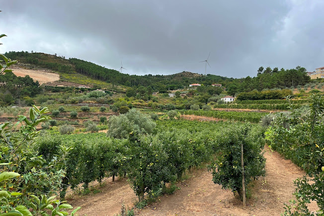 Quinta da Seara