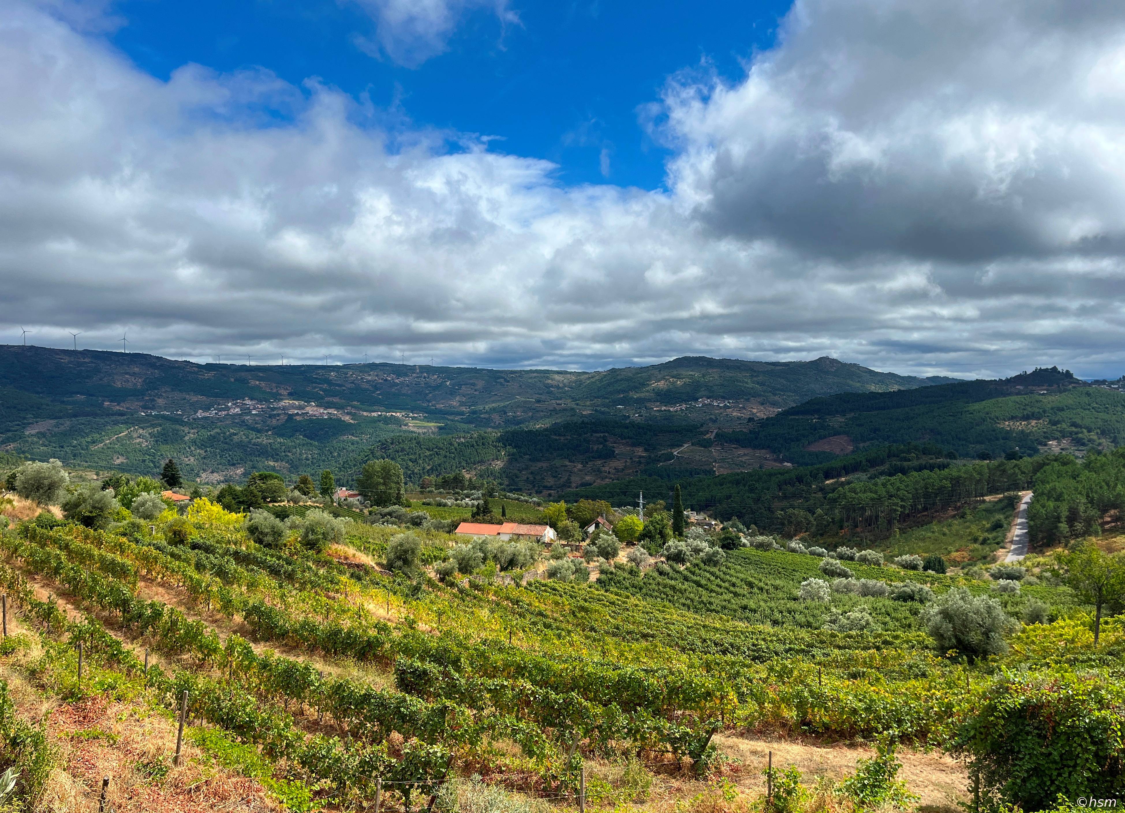 Quinta da Seara ao amanhecer